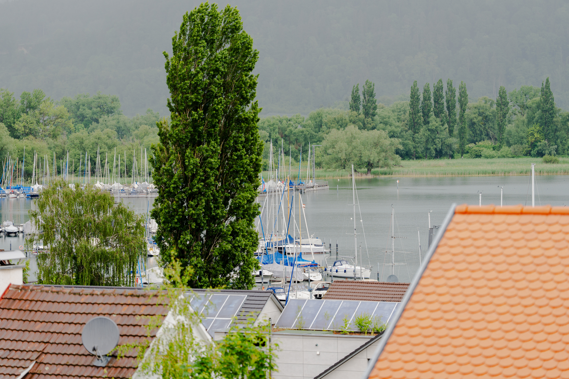 Blick auf den See